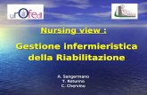 Gestione infermieristica della Riabilitazione della Riabilitazione A. Sangermano T. Rotunno C. Chervino Nursing view :