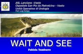 WAIT AND SEE ASL Lanciano –Vasto Ospedale San Pio da Pietrelcina – Vasto Unità Operativa di Urologia Prof. Luigi Schips Fabiola Tamburro.