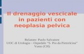 Il drenaggio vescicale in pazienti con neoplasia pelvica Relatore: Paolo Salvatore UOC di Urologia – Ospedale S. Pio da Pietrelcina Vasto (CH)