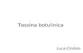 Tossina botulinica Luca Cindolo. Per chi è utile? Indicazioni in gastroenterologia, in neurologia.... fisioterapia.... chirugia estetica... ed in ultimo.