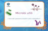 Microbi utili I microbi possono essere utili e benefici?