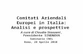 Comitati Aziendali Europei in Italia: Analisi e prospettive A cura di Claudio Stanzani, Presidente SINDNOVA Seminario CNEL Roma, 28 Aprile 2010.