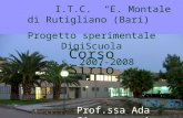 I.T.C. E. Montale di Rutigliano (Bari) Progetto sperimentale DigiScuola a.s. 2007-2008 Prof.ssa Ada Giampetruzzi Corso Sirio Scheda progetto.