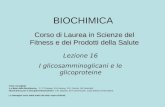 BIOCHIMICA Corso di Laurea in Scienze del Fitness e dei Prodotti della Salute Lezione 16 I glicosamminoglicani e le glicoproteine Testi consigliati Le.