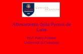 Allevamento della Pecora da Latte Prof. Paolo Polidori Università di Camerino.
