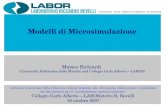 Modelli di Microsimulazione Matteo Richiardi (Università Politecnica delle Marche and Collegio Carlo Alberto – LABOR) Corso per il personale della Direzione.