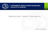 Gestione dell Azoto in Agricoltura Mattia Fumagalli.