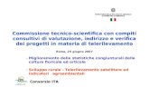 Commissione tecnico-scientifica con compiti consultivi di valutazione, indirizzo e verifica dei progetti in materia di telerilevamento Roma, 25 giugno.