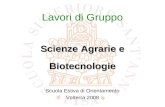 Lavori di Gruppo Scuola Estiva di Orientamento Volterra 2008 Scienze Agrarie e Biotecnologie.