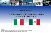 Aerospazio Opportunità dinvestimento per lItalia in Messico.