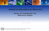 NANOTECNOLOGIA IN MESSICO Aree di interesse tra Messico-Italia Roma, 2009.