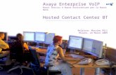 Avaya Enterprise VoIP Nuovi Servizi e Nuove Architetture per la Nuova Rete Hosted Contact Center BT Relatore: Massimo POLI Milano, 24 Marzo 2009.