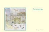 Ecosistema Gruppo di lavoro. Ecosistema Rapporto fra esseri viventi Ecosistema Comunità Biologica Ambiente Habitat Catena Alimentare Piramide ecologica.