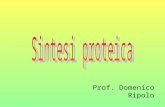 Prof. Domenico Ripolo. Cosè la sintesi proteica La sintesi proteica è il processo che porta alla formazione delle proteine utilizzando le informazioni.