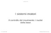 I sistemi motori Il controllo del movimento: i nuclei della base © G. Cibelli, 2006Fisiologia del Sistema Nervoso Lezione n.12.2.