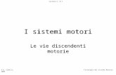I sistemi motori Le vie discendenti motorie © G. Cibelli, 2006Fisiologia del Sistema Nervoso Lezione n. 8.1.