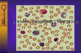 LESAME EMOCROMOCITOMETRICO. Il LEUCOCITOGRAMMA a 5 o più popolazioni eseguito dai CONTAGLOBULI con conta differenziale completa distingue le cellule.