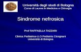 Sindrome nefrosica Prof RAFFAELLA TAZZARI Clinica Pediatrica-U.O Pediatria Cicognani Università di Bologna Università degli studi di Bologna Corso di Laurea.