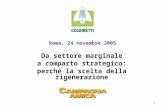 1 Roma, 24 novembre 2005 Da settore marginale a comparto strategico: perché la scelta della rigenerazione.