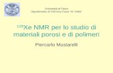 129 Xe NMR per lo studio di materiali porosi e di polimeri Piercarlo Mustarelli Università di Pavia Dipartimento di Chimica Fisica M. Rolla.