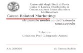 Relatore: Chiar.mo Prof Giampaolo Azzoni Università degli Studi di Pavia Corso di Laurea Interfacoltà in Comunicazione Interculturale e Multimediale Cause.