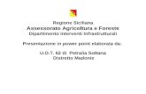 Regione Siciliana Assessorato Agricoltura e Foreste Dipartimento Interventi Infrastrutturali Presentazione in power point elaborata da: U.O.T. 62 di Petralia.