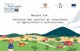 Misura 114 Utilizzo dei servizi di consulenza in agricoltura e silvicoltura.