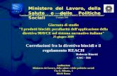 Giornata di studio "I prodotti biocidi: peculiarità dell'applicazione della direttiva 98/8/CE nel sistema normativo italiano" 25 giugno 2009 Correlazioni.