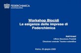 Workshop Biocidi Le esigenze delle imprese di Federchimica Ralf Knauf Ufficio Sicurezza Prodotti Direzione centrale Tecnico scientifica Roma, 25 giugno.