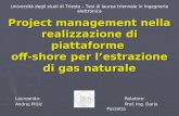 Project management nella realizzazione di piattaforme off-shore per lestrazione di gas naturale Relatore: Prof. Ing. Dario Pozzetto Università degli studi.