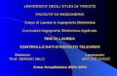 UNIVERSITA' DEGLI STUDI DI TRIESTE FACOLTA' DI INGEGNERIA Corso di Laurea in Ingegneria Elettronica Curriculum Ingegneria Elettronica Applicata TESI DI.