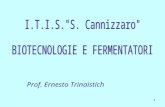 1 Prof. Ernesto Trinaistich. 2 BIOTECNOLOGIA E FERMENTATORI Introduzione: Le fermentazioni, così chiamate perché avvengono con sviluppo di gas, sono processi.