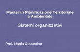 Master in Pianificazione Territoriale e Ambientale Sistemi organizzativi Prof. Nicola Costantino.