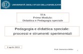 1 Pedagogia e didattica speciale: processi e strumenti sperimentali Prof. Domenico Milito TFA Primo Modulo: Didattica e Pedagogia speciale 2 aprile 2013.