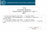 1 Prof. Domenico Milito TFA Secondo Modulo: Interventi didattici per i BES - La macrocategoria dei BES - 3 aprile 2013 - Interventi psicopedagogici e strumenti.