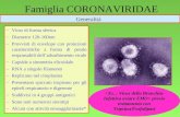 1 Famiglia CORONAVIRIDAE Generalità –Virus di forma sferica –Diametro 120-160nm –Provvisti di envelope con proiezioni caratteristiche a forma di petalo.