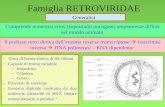 1 Famiglia RETROVIRIDAE Generalità Comprende numerosi virus (soprattutto oncogeni) ampiamente diffusi nel mondo animale Il prefisso retro deriva dallenzima.