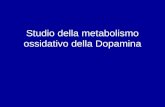Studio della metabolismo ossidativo della Dopamina.