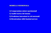 MODELLI NEURONALI: 1) Comprensione misure sperimentali 2) Analisi teorica del sistema 3) Predizione interazioni in reti neuronali 4) Ricostruzione delle.
