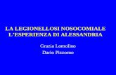 LA LEGIONELLOSI NOSOCOMIALE LESPERIENZA DI ALESSANDRIA Grazia Lomolino Dario Pizzorno.