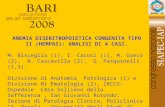 ANEMIA DISERITROPOIETICA CONGENITA TIPO II (HEMPAS): ANALISI DI 4 CASI. M. Bisceglia (1), I. Carosi (1), M. Greco (2), N. Cascavilla (2), G. Pasquinelli.
