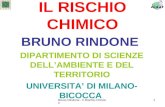 Bruno Rindone - Il Rischio Chimico 1 IL RISCHIO CHIMICO BRUNO RINDONE DIPARTIMENTO DI SCIENZE DELLAMBIENTE E DEL TERRITORIO UNIVERSITA DI MILANO- BICOCCA.