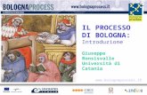 Www.bolognaprocess.i t IL PROCESSO DI BOLOGNA: Introduzione Giuseppe Ronsisvalle Università di Catania.