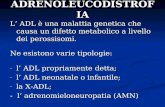 ADRENOLEUCODISTROFIA L ADL è una malattia genetica che causa un difetto metabolico a livello dei perossisomi. Ne esistono varie tipologie: - l ADL propriamente.