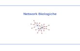 Network Biologiche. Indice Esempi di network biologiche –Network di interazione proteina proteina (PPI networks) –Network metaboliche –Pathway Caratterizzazione.