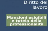 Diritto del lavoro Mansioni esigibili e tutela della professionalità 1.