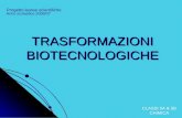 TRASFORMAZIONI BIOTECNOLOGICHE Progetto lauree scientifiche CLASSI 5A & 5B CHIMICA Anno scolastico 2006/07.