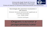 Università degli Studi di Ferrara Facoltà di Medicina e Chirurgia Corso di laurea in Scienze Infermieristiche ed Ostetriche Organizzazione e programmazione.