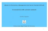 1 Master in Economia e Management dei Servizi Sanitari (VIII ed) Economicità nelle aziende sanitarie Emidia Vagnoni Università degli Studi di Ferrara.