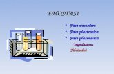 EMOSTASI Fase vascolare Fase vascolare Fase piastrinica Fase piastrinica Fase plasmatica Fase plasmatica Coagulazione Coagulazione Fibrinolisi Fibrinolisi